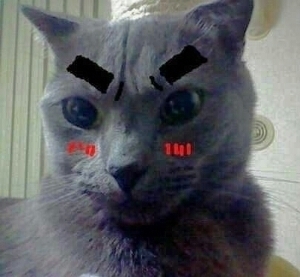 жゆっこжさんのプロフィール画像