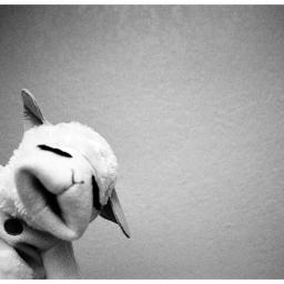 RealitySwimmer's profile picture. splish,splash i jumped in your puddle!