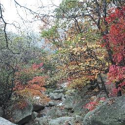 성실함과 노력만이 지름길~~~