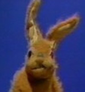 2nothing2222's profile picture. None