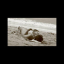 Honey Williams - @Honeybels - Twitter