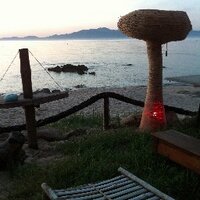 Fabrice Puchault (@fpuchault) 's Twitter Profile