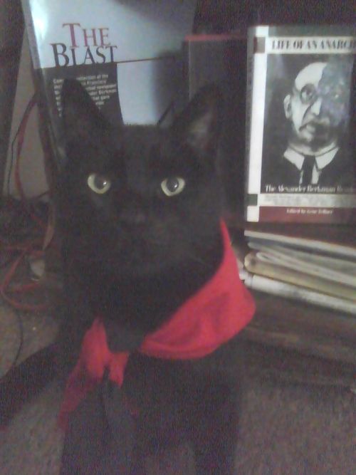 pdxvictory's profile picture. I'm a sexy, tough, Anarchist, queer mama, nuf said. Find me on Mastodon.