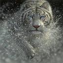 Daryl Simmons - @Dsimmons68 - Twitter