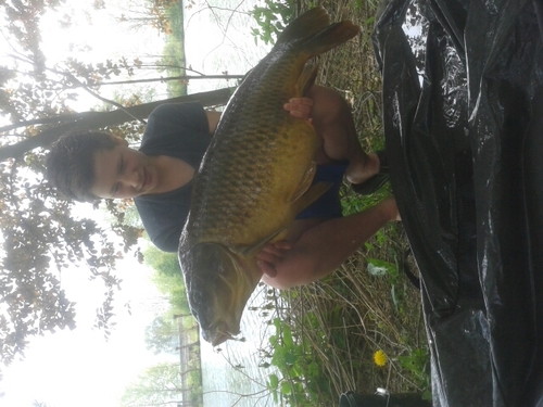 AFCA(l), 3K/Helicon,C1/Scr, 14jaar