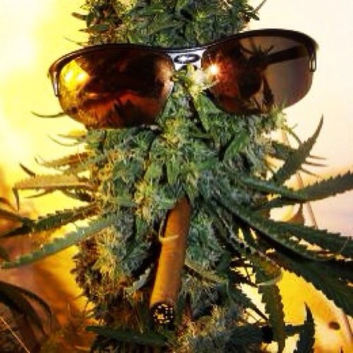 SamuelDeshawn's profile picture. 