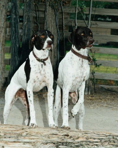 ScottAman1's profile picture. You and I both loved.Scott Aman