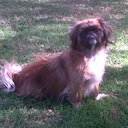 Susan Stoltz - @Snippie69 - Twitter