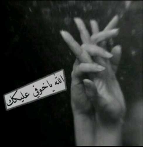 لا شيء يذكر سوى خربشاتي في مفضلتي .. وسأنتظر مجيئك يوما
