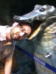 wordprocessor77's profile picture. The Tweets of http://t.co/EfM8o96gxs. writing, fiction, fiction writing and writing fiction.