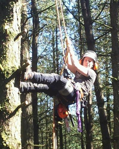 *Tree Surgery* Hedge Trimming* Chainsaw Carving * Stump Grinding* Logs for Sale*