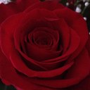 Jaclyn Townsend - @Jackolina - Twitter