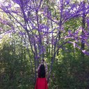 Aurora Hills - @Im_a_unicorn_25 - Twitter