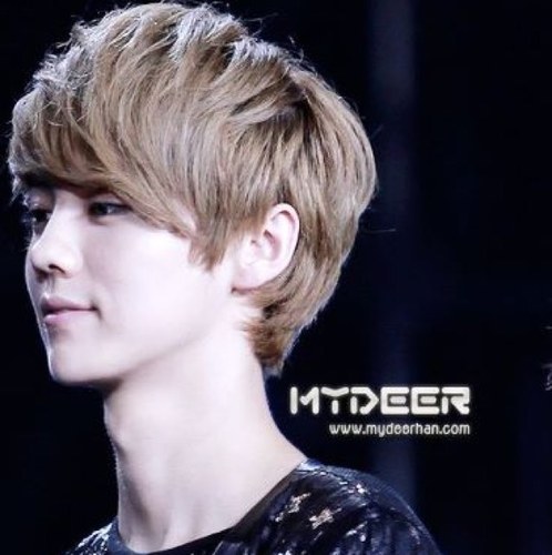 2013.03.21 Luhan bot

2013.05.08 Lover