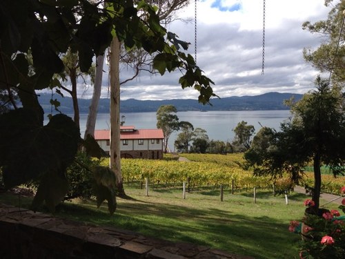 Owner/winemaker at Beautiful Isle Wines