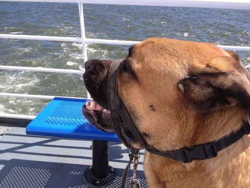 GuyRumsey's profile picture. So if an idiot hasnt realised he dosnt know everything and a wise man knows he has much to learn .... What about ?