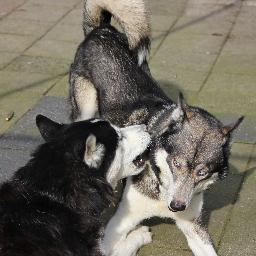 Damian10969082's profile picture. Follow My follow back!