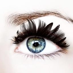 ypcyllone's profile picture. Don't let Yesterday take up Too much of Today life is full of Surprises.