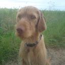 Nick Herbert - @orangesixtyfive - Twitter