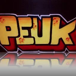 Peukvalkenburg's profile picture. Jeugdsocieteit de Peuk in Valkenburg! Wij organiseren feesten voor alle leeftijden, 12 t/m 15 op vrijdagavond en verschillende themafeesten voor 18 en 16+.