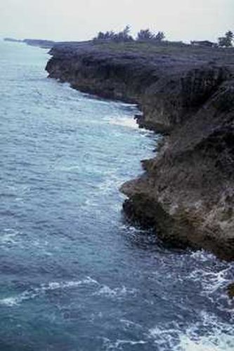 TamLane27's profile picture. Loves dogs.Tammy Lane