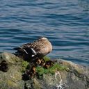 Catherine Ellison - @Catheri55486275 - Twitter