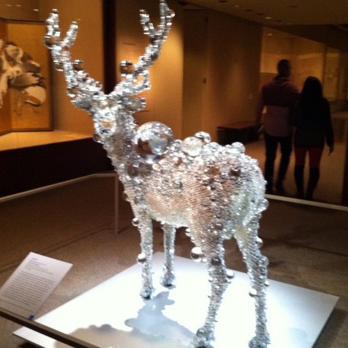 shuklaj24's profile picture. 