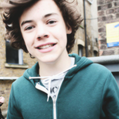« zayn,harry,liam,louis and niall. Now my bio is perfect.»