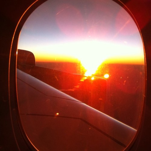 rhinocops's profile picture. 