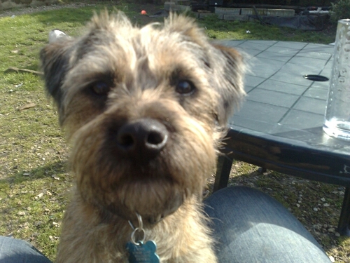 LewisKeyes's profile picture. 