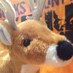 runBucks (@runbucks) Twitter profile photo runBucks (@runbucks) Twitter profile photo