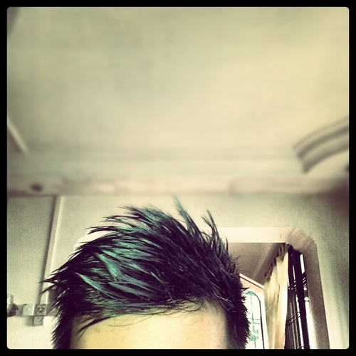 Lleone_JW's profile picture. 