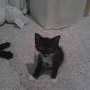 anna prue - @grandmabridge - Twitter