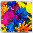 Ashley Reinhardt - @R3IN_ASH3 - Twitter