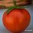 goodfoodlve's profile image