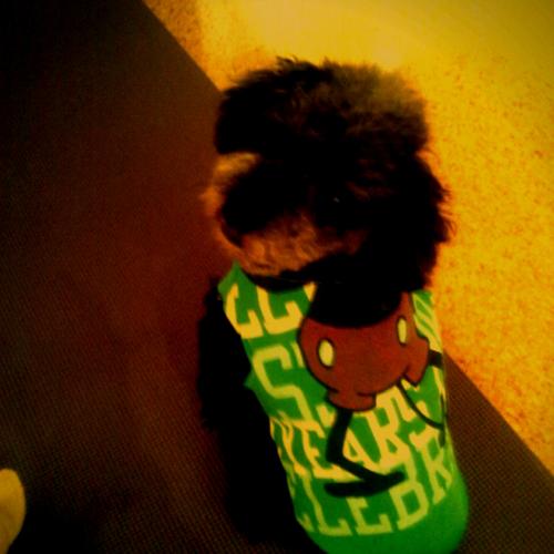 fukusukeman1's profile picture. CM、映像、舞台／演出家・脚本家。第３回WOWOWシナリオ大賞受賞。演劇ユニット『テトラクロマット』主宰兼演出。あくまで肉体表現を軸とした演劇を目指しています。広告からエンタメまで、なんでもやります！！