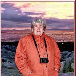 homebreeze's profile picture. 