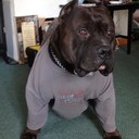 Craig Potts - @tatonka9898 - Twitter