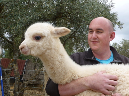 TeamPaca Profile Picture