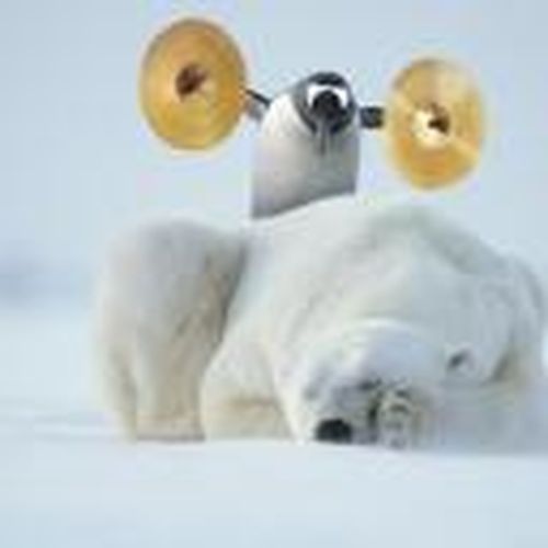 EdwardM05467875's profile picture. Loves reading various Edward Moralesarticles, interesting ones