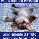 Javier falcones - @JavikinJavier - Twitter