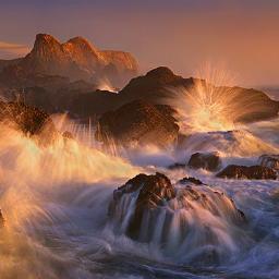 FotografiaMundo's profile picture. 