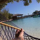 Deb Gordon - @HokieDeb123 - Twitter