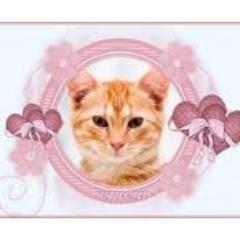 Adoro gatinhos sarados e lindos.Sou fanatica por luan santana  faço tudo por ele eu amo ele!!!!!!!!!!!!!!!!!!!!!!!!!!!!!!!!!!!!!!!!!