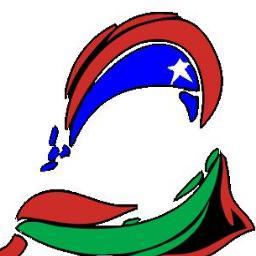 Palestina_sos's profile picture. 