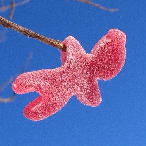 egronvik's profile picture. 