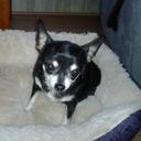 randy willingham - @chesnet1 - Twitter