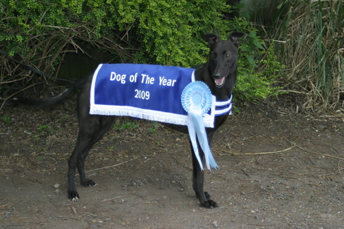 Greyhound Owner with Norah McEllistrim