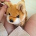 my (@puppy514) Twitter profile photo