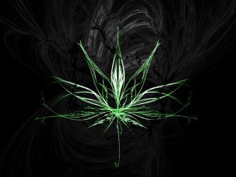 Folla, bebe y fuma que la vida es corta. Jah es amor, One Love!